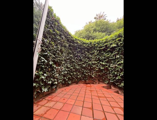 3 BEDROOM PROPERTY TO RENT IN WATERKLOOF RIDGE